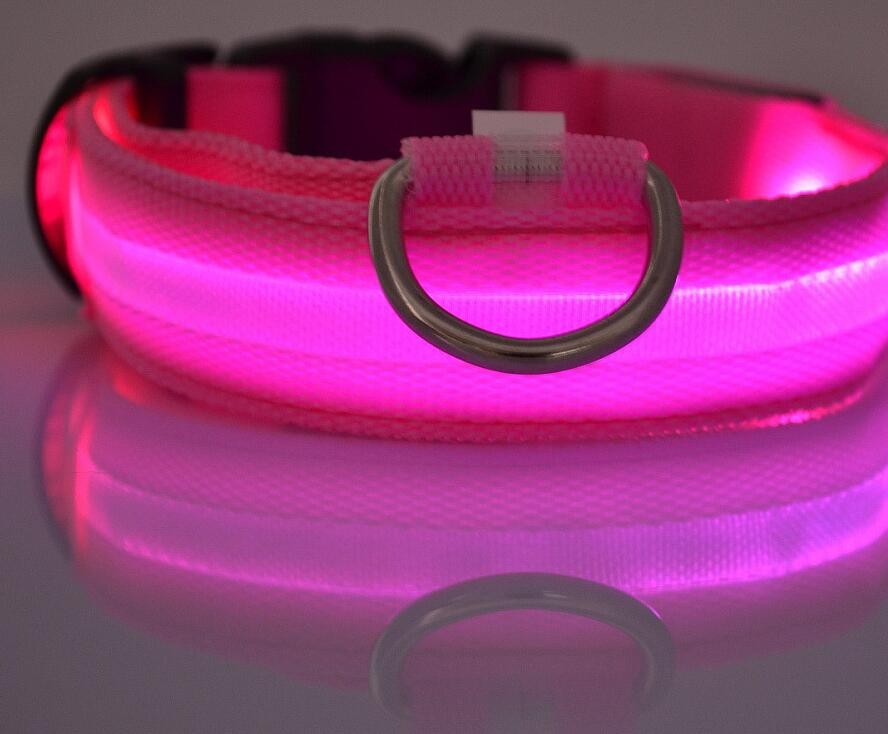 Dogs Nylon LED Collar