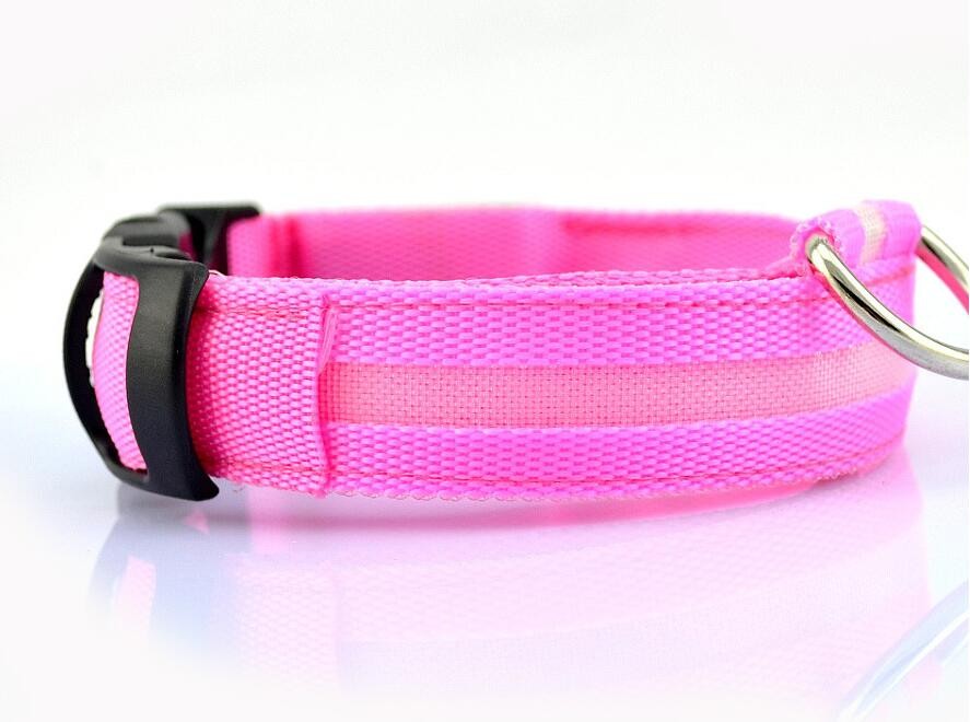 Dogs Nylon LED Collar