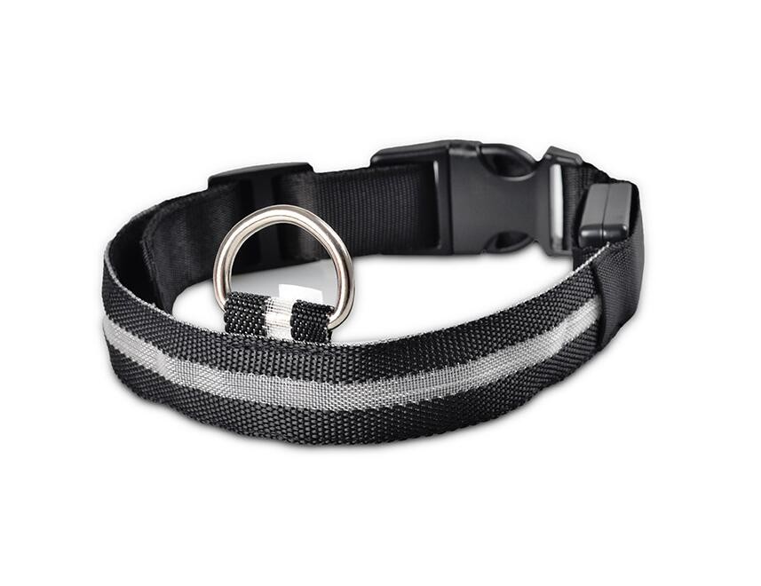Dogs Nylon LED Collar