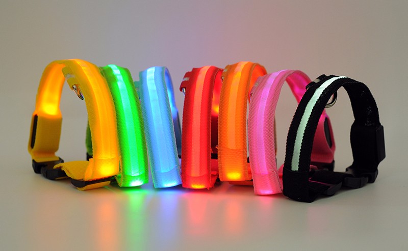 Dogs Nylon LED Collar