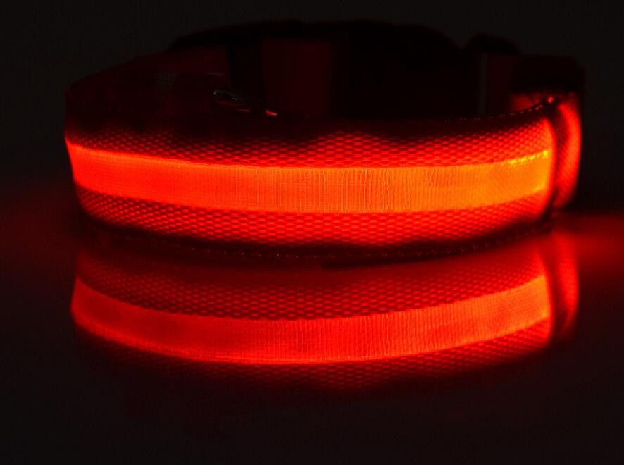 Dogs Nylon LED Collar