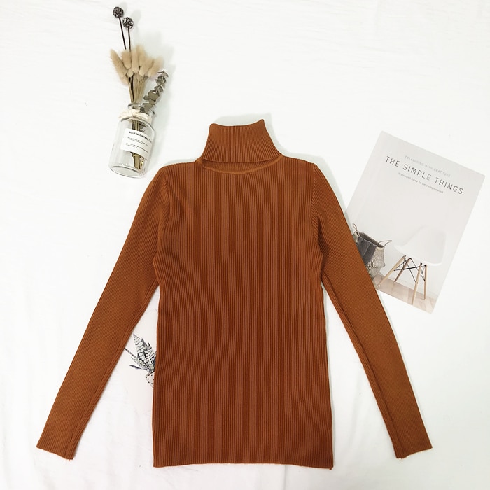Women's Solid Color Turtleneck Sweater